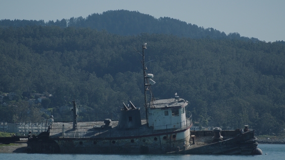 Zizians Documentary Series Set At HBO