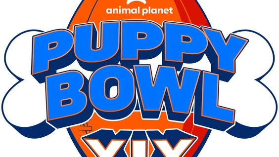 Puppy Bowl XIX Pawprint Grows Across Warner Bros. Discovery's Platforms