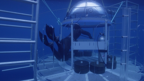 Monster Mako: Fresh Blood