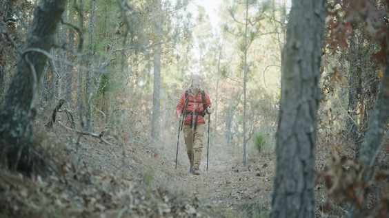 Hiker Brandon Dowell, met “Mostly Harmless” in Georgia 8 months before he died