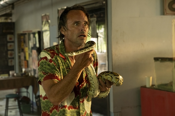 Walton Goggins