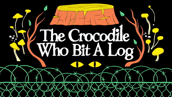 Adventure Time: Fionna and Cake