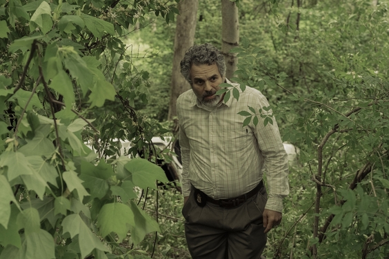 Mark Ruffalo