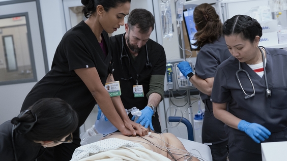 Supriya Ganesh, Noah Wyle