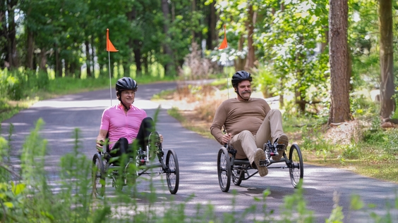 Jason Bateman, David Harbour 