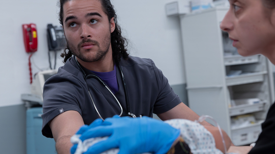 Jalen Thomas Brooks, Sofia Hasmik