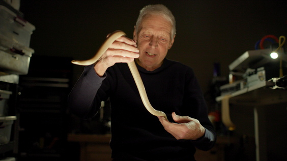 Hank Molt, Reptile Dealer
